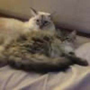 Meet your Posher, Tina